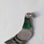 Embroidered Iron On Pigeon Patch, thumbnail 3 of 7
