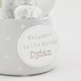 Personalised Welcome To The World Elephant Snow Globe, thumbnail 2 of 4