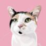 Personalised Pet Cat Portrait Print, thumbnail 5 of 5