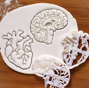 Anatomical Heart And Brain Cookie Cutter Set, 3 of 3