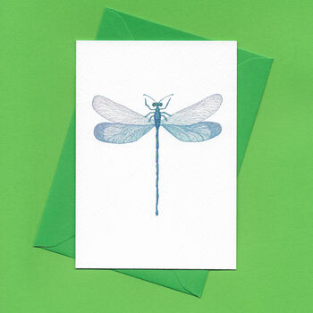 Hand Drawn Dragonfly Illustrated Blank Greeting Card, 3 of 10