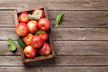 Apple Fruit Trees Three X 10 L Pots, 3 of 6