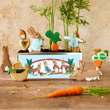 Biscuiteers Hand Iced Beatrix Potter Biscuit Tin, 3 of 3
