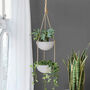 Two Tier Hanging Ceramic Double Planter Basket, thumbnail 1 of 4