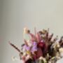 Plum And Lilac Dried Flower Bouquet, thumbnail 4 of 6