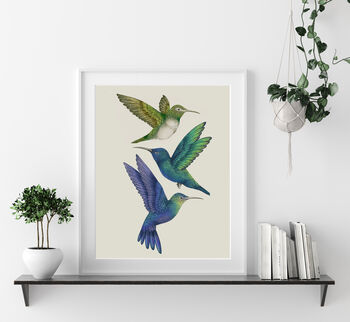'Antique Hummingbirds Ii' Fine Art Print, 5 of 6
