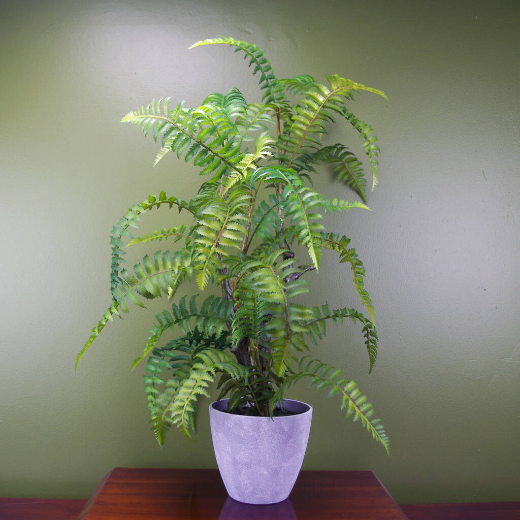 70cm Artificial Tree Fern With Decorative Planter, 1 of 3
