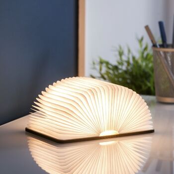 Maple Mini LED Smart Book Light, 3 of 4