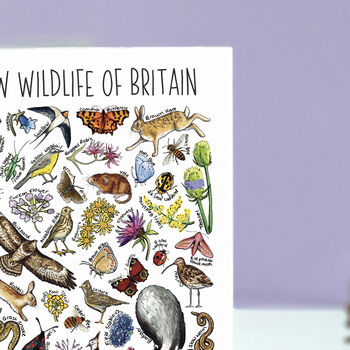 Meadow Wildlife Of Britain Greeting Card, 7 of 8