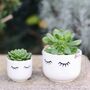 Cute Face Plant Pot With Choice Of Plant, thumbnail 1 of 3