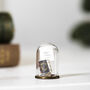 Miniature Library With Personalised Note, thumbnail 1 of 10