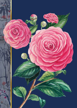 Pink Camelia Flower Blank Card, 2 of 3