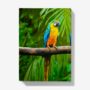 A5 Hardback Notebook Featuring Colourful Macaws, thumbnail 4 of 4
