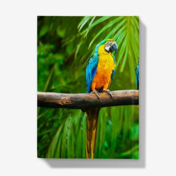 A5 Hardback Notebook Featuring Colourful Macaws, 4 of 4