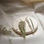 Large Pressed Fern Sterling Silver Earrings, thumbnail 2 of 9