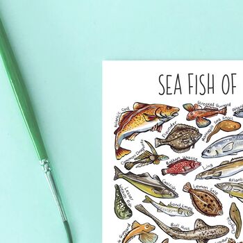 Sea Fish Of Britain Watercolour Postcard, 8 of 9