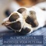 Personalised Pawprint Square Keyring, thumbnail 3 of 4