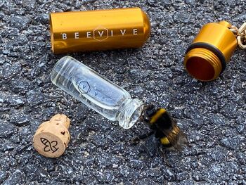 Beevive And Seedball Bee Rescue Gift Set, 3 of 9
