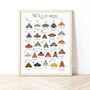 The A To Z Of Moths Print, thumbnail 1 of 6