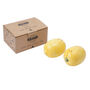 Lemon Salt And Pepper Set In Gift Box, thumbnail 1 of 2