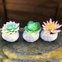 Faux Succulent In Handmade Ammonite Shell Pots, thumbnail 9 of 9