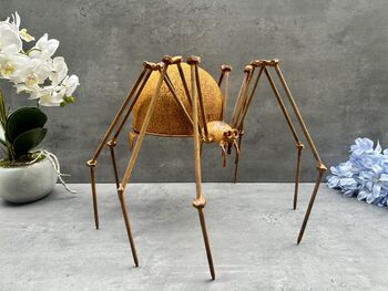 Huge Spider Garden Ornament 35cm Distressed Rusty Metal, 4 of 12