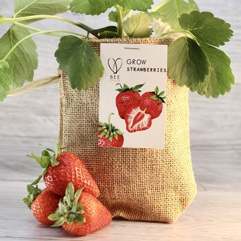 Strawberry Jute Bag Grow Set, 4 of 6