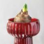 Red Ribbed Hyacinth Vase, thumbnail 3 of 4