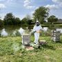 Rural Beekeeping And Craft Beer Experience For Two, thumbnail 9 of 9