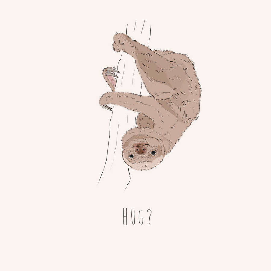 hug fun sloth