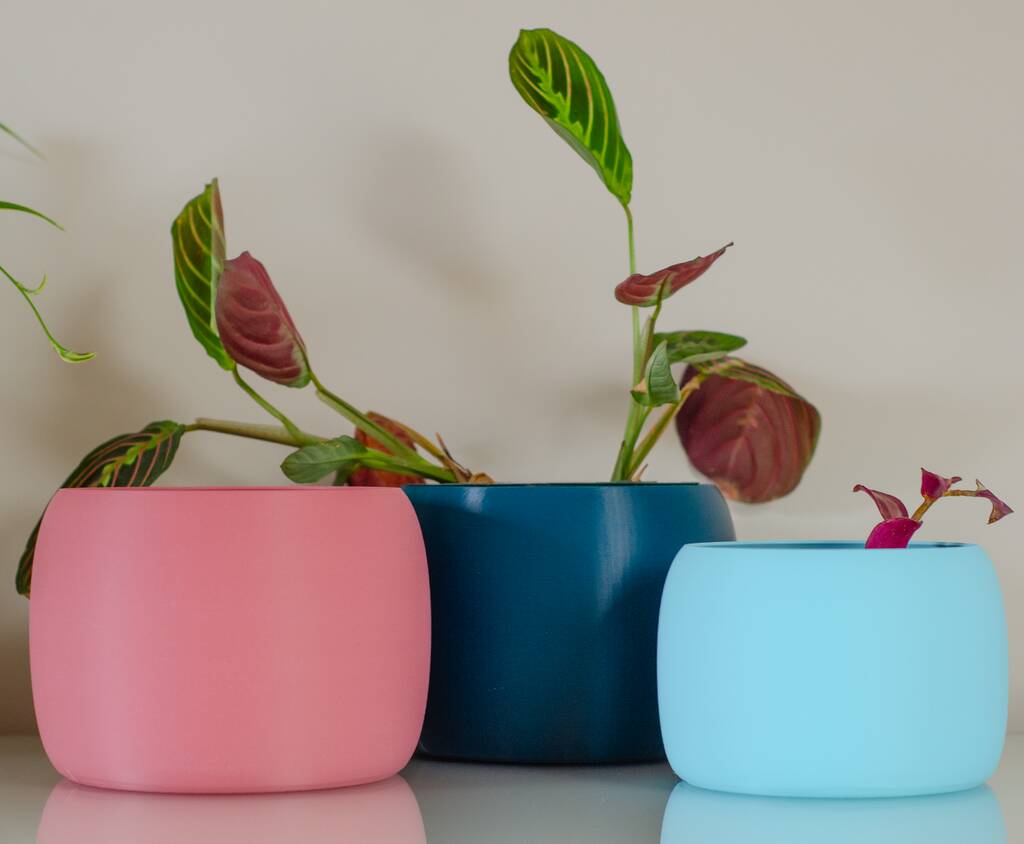 Vibrant Pot For Houseplants, Smooth Curve Design, 1 of 11