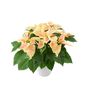 Marble Poinsettia Gift In White Ceramic Pot – 13cm – Free Standard Gift Wrap, thumbnail 2 of 3