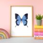 Illustrated Butterfly Print, thumbnail 1 of 3