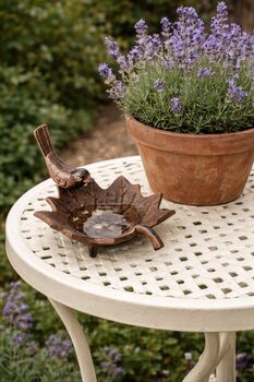 Bird Bath In Cast Iron, 2 of 4