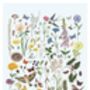 British Wildlife And Florals Through The Seasons Print, thumbnail 2 of 4