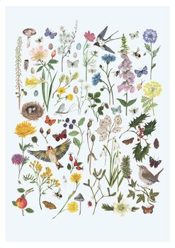British Wildlife And Florals Through The Seasons Print, 2 of 4