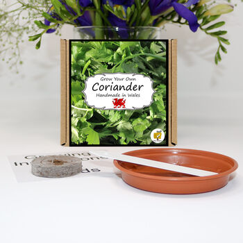 Herb Garden Coriander Growing Kit. Gardening Gift, 2 of 4