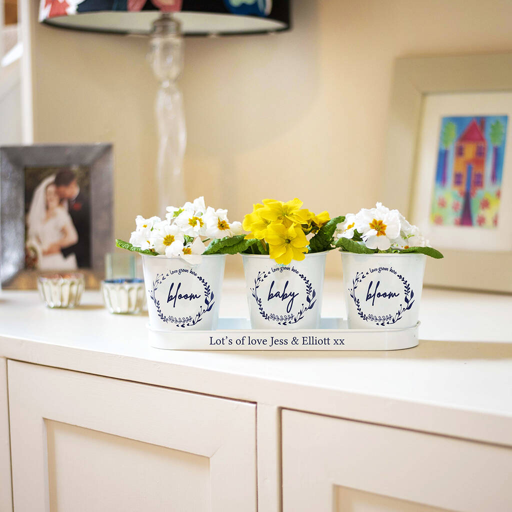 Personalised Indoor Flower Planter By Jonny's Sister