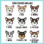 Corgi Face T Shirt, thumbnail 4 of 6