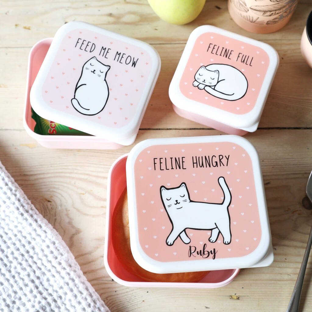 cat lunch boxes