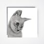 Orkaria The Cat Greeting Card, thumbnail 3 of 6