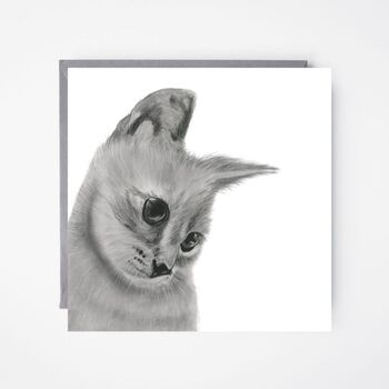 Orkaria The Cat Greeting Card, 3 of 6