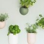 Tall Colourful Wall Planters, thumbnail 3 of 7
