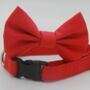 Red Dog Bow Tie, thumbnail 2 of 5