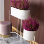 White Oval Metal Planter Stand, thumbnail 4 of 4
