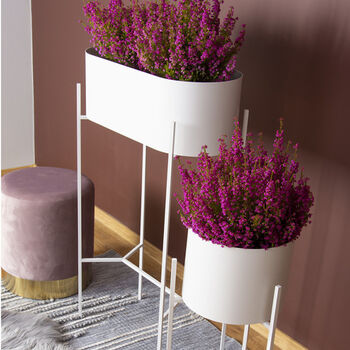 White Oval Metal Planter Stand, 4 of 4