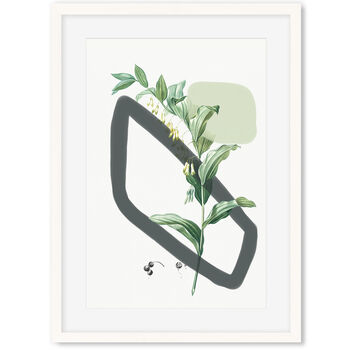 Vintage Plants With Shapes Art Print, 6 of 6