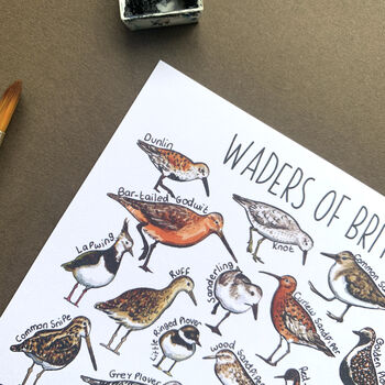 Waders Of Britain Watercolour Postcard, 5 of 11