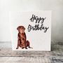 Happy Birthday Labrador Card, thumbnail 2 of 4