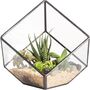 Small Inclined Cube Glass Geometric Terrarium, thumbnail 4 of 7